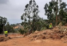 GENDARMERÍA REALIZA MILLONARIA INVERSIÓN EN DESMALEZAMIENTO DE LA CÁRCEL DE VALPARAÍSO