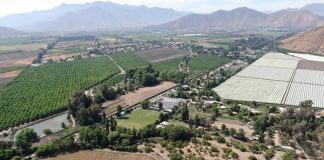 Llay Llay tendrá nuevo parque solar con suministro durante las 24 horas