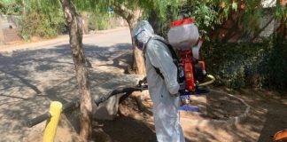 Municipalidad de Rinconada avanza en programa de fumigación preventiva en contra plagas de pulgas y garrapatas en viviendas y espacios públicos