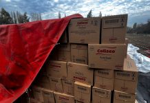 CARABINEROS DETUVO A AUTORES DE ROBO DE CAMIÓN CON MÁS DE 2 MIL CAJAS DE ACEITE EN COLINA