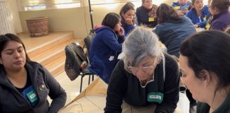 Se desarrolla capacitación en prevención de violencia de género dirigida a educadoras de párvulos