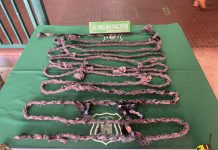 CON CUERDA DE 15 METROS INTERNOS PLANEABAN FUGARSE DESDE LA CÁRCEL DE LOS ANDES