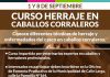 Municipalidad de Calle Larga y Universidad del Alba realizarán curso gratuito de herraje para equinos