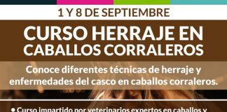Municipalidad de Calle Larga y Universidad del Alba realizarán curso gratuito de herraje para equinos