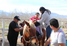 Equinoterapia: El tratamiento gratuito que rehabilita exitosamente a niñas y niños con discapacidad de Calle Larga