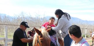 Equinoterapia: El tratamiento gratuito que rehabilita exitosamente a niñas y niños con discapacidad de Calle Larga