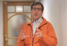 La difícil tarea de la reforestación y su impacto al medio ambiente