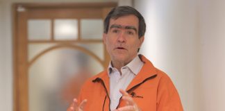 La difícil tarea de la reforestación y su impacto al medio ambiente