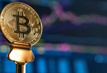¿Despertaron a la innovación de Bitcoin?