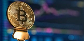 ¿Despertaron a la innovación de Bitcoin?