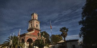 Fundación Lepe y Fundación Pangue invitan a la comunidad del Valle del Aconcagua a participar de una minga de podas regenerativas