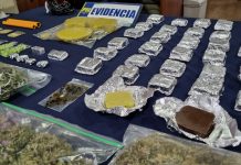 PDI LOS ANDES DESBARATA VENTA DE COMIDA ALUCINÓGENA