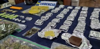PDI LOS ANDES DESBARATA VENTA DE COMIDA ALUCINÓGENA