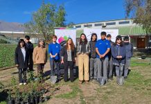 Pro Aconcagua y Rotary Club donaron árboles nativos a establecimientos educacionales municipalizados de Calle Larga