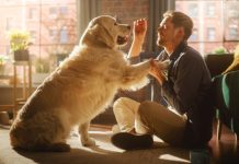 Diseño, decoración y sector mascotas: Las nuevas propuestas que trae Expo Vivienda 2023