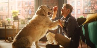 Diseño, decoración y sector mascotas: Las nuevas propuestas que trae Expo Vivienda 2023