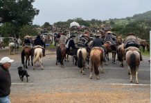 Puchuncaví se lució con masiva cabalgata regional con más de 350 jinetes.