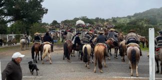 Puchuncaví se lució con masiva cabalgata regional con más de 350 jinetes.