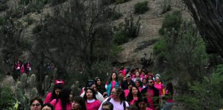 Municipio de Santa María realizó masiva caminata y fiesta para promover la salud y prevenir del cáncer de mama