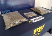 PDI La Calera detuvo a hombre que tenía invernadero con 115 kilos de droga