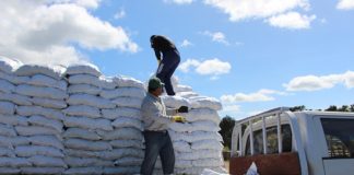 INDAP ENTREGA 15 TONELADAS DE ALIMENTO ANIMAL A AGRICULTORES DE SANTO DOMINGO AFECTADOS POR INUNDACIONES DE AGOSTO