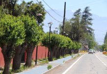 Avanzan obras de instalación y ampliación de cobertura de luminarias públicas en Ruta E-57 de Calle Larga