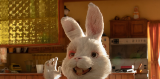 Chile prohíbe la experimentación animal para la industria cosmética