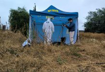 PDI DETIENE A AUTORES DE HOMICIDIO DE HOMBRE OCURRIDO EN QUILLOTA