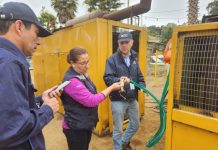 Fiscalización de Seguridad Eléctrica en Juegos Mecánicos: Protegiendo las Vacaciones en la provincia de San Antonio