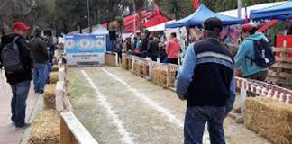 Este fin de semana se desarrollará en Rinconada el Torneo Nacional de Clubes Campeones de Rayuela