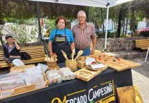 San Esteban: Agricultores cuentan con nuevo mercado campesino para comercializar su producción.