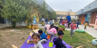 Más de 500 párvulos disfrutan estas vacaciones en los jardines infantiles de la JUNJI Valparaíso.