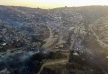 Fedefruta por catástrofe de los incendios: «Vemos a personas muy afectadas que suelen trabajar en faenas agrícolas»