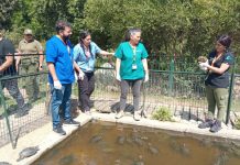 Carrera de Medicina Veterinaria del Campus Los Castaños de UDLA evalúa estado de más de 200 animales sobrevivientes de incendio en Jardín Botánico de Viña del Mar