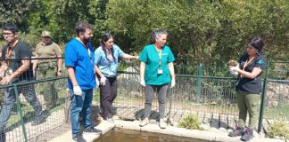 Carrera de Medicina Veterinaria del Campus Los Castaños de UDLA evalúa estado de más de 200 animales sobrevivientes de incendio en Jardín Botánico de Viña del Mar
