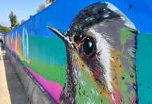 En Los Andes comenzó a desarrollarse el proyecto de murales y grafitis más grande del Valle de Aconcagua