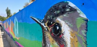 En Los Andes comenzó a desarrollarse el proyecto de murales y grafitis más grande del Valle de Aconcagua