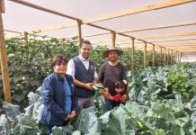 NOGALES: INDAP acredita como usuarios a la primera comunidad indígena de la región