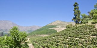 Pymes agrícolas de Aconcagua Quillota optimizan gestión de riego con tecnologías de eficiencia hídrica