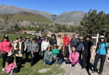 Vecinas y vecinos de Calle Larga aprendieron técnicas de poda de árboles en “Manos al Cerro”, actividad impulsada por la oficina de medio ambiente.
