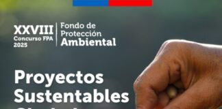 Unidad de Medio Ambiente y Energía de Rinconada informa de la apertura del Fondo de Protección Ambiental 2025