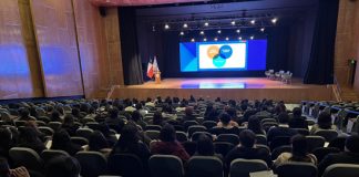 SENDA Araucanía junto a ISSUP Chile desarrollaron seminario sobre Prevención, Tratamiento y Recuperación de Trastornos por uso de Sustancias Psicoactivas