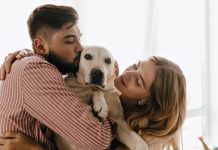 La importancia de desparasitar a mascotas en verano para prevenir graves riesgos a su salud