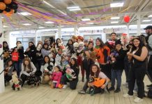 Más de 30 mascotas lucieron sus disfraces de Halloween en concurso organizado por la carrera de Medicina Veterinaria UDLA Sede Viña del Mar