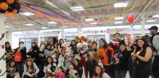 Más de 30 mascotas lucieron sus disfraces de Halloween en concurso organizado por la carrera de Medicina Veterinaria UDLA Sede Viña del Mar