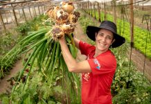 Este fin de semana lo mejor del campo llega a la Quinta Vergara con la Primera Muestra Regional de Agricultores y Artesanos de INDAP