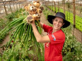 Estudio de Observatorio Laboral analizó la realidad laboral de la mujer en la agroindustria