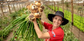 Estudio de Observatorio Laboral analizó la realidad laboral de la mujer en la agroindustria