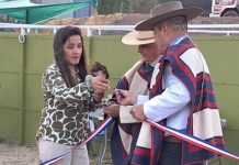 Club de huasos laboral de Rinconada inauguró su medialuna.