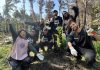 Fundación Reforestemos celebrará el Día Internacional de los Voluntarios marcando un hito histórico en el Jardín Botánico de Viña del Mar